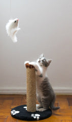 Premium Cat Scratching Post